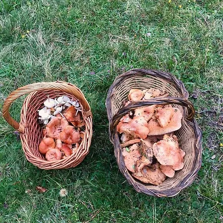 Vendégház Rural Sositana